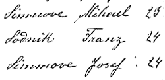 Franz Sondik - Ship Manifest