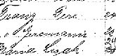 Franz Gerchman - Ship Manifest