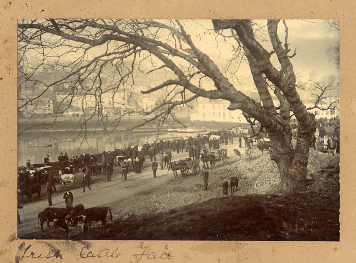 Click for larger image