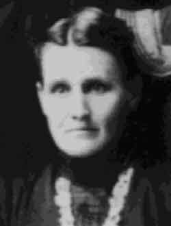 Click for larger image